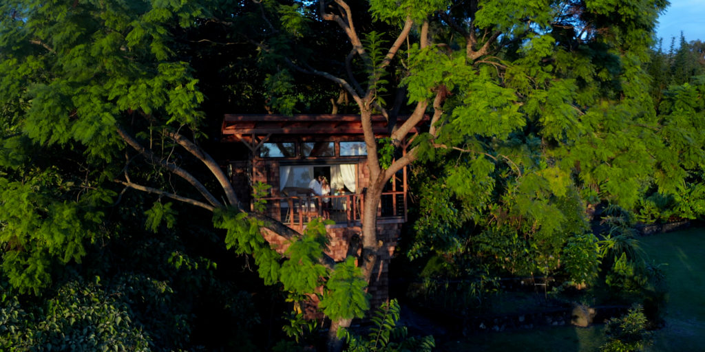 Keana and Dylan's luxury treehouse on the Big Island